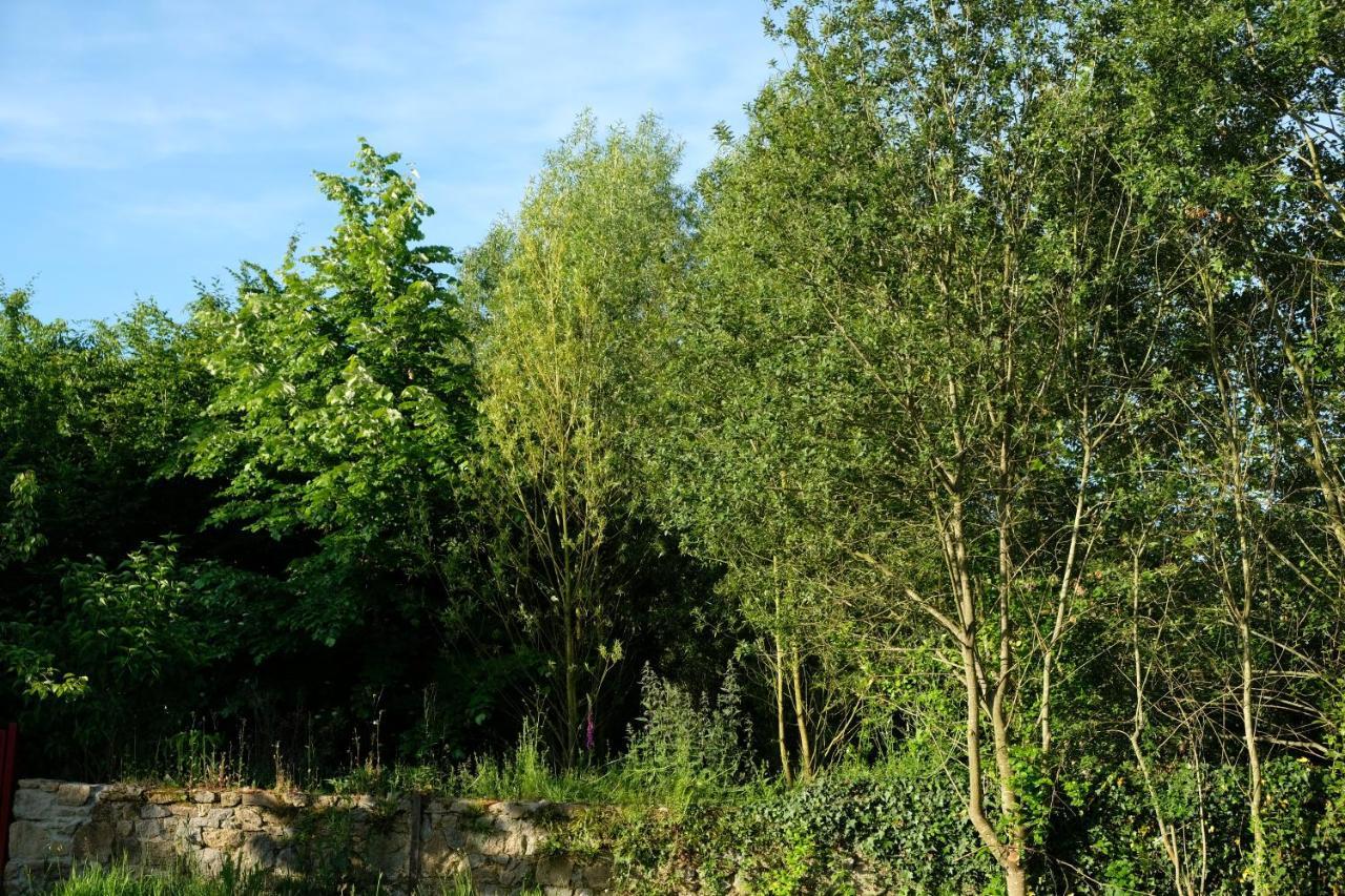 La Maison Jaune A La Janaie Parigné Zewnętrze zdjęcie
